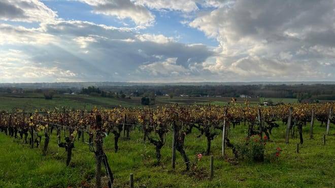 Graves & Sauternes : Private Half Day Tour in a Citroën 2cv