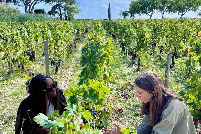 Margaux & the Medoc Full Day private wine tour in a Citroën 2cv