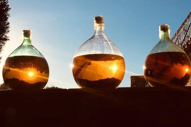 Cassis, Bandol and Le Castellet Wine tour 