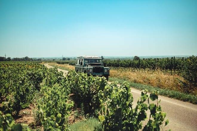 Private Full Day Beaujolais Wine Tour from Lyon