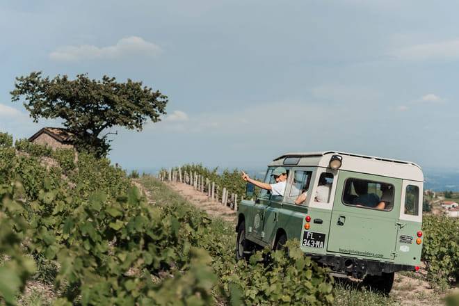 Private Full-Day Burgundy and Beaujolais Wine Tour from Lyon