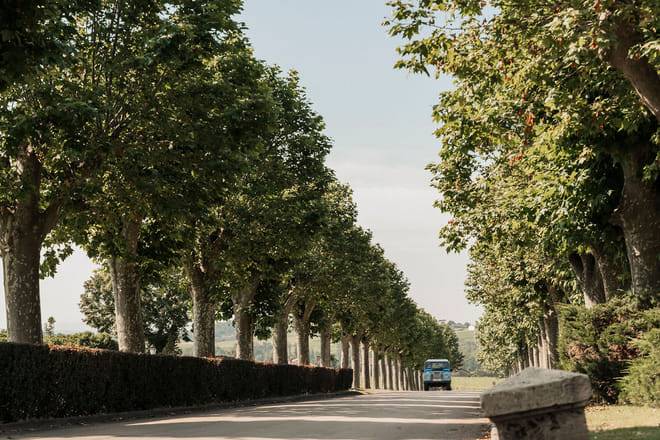 Private Full-Day Burgundy and Beaujolais Wine Tour from Lyon