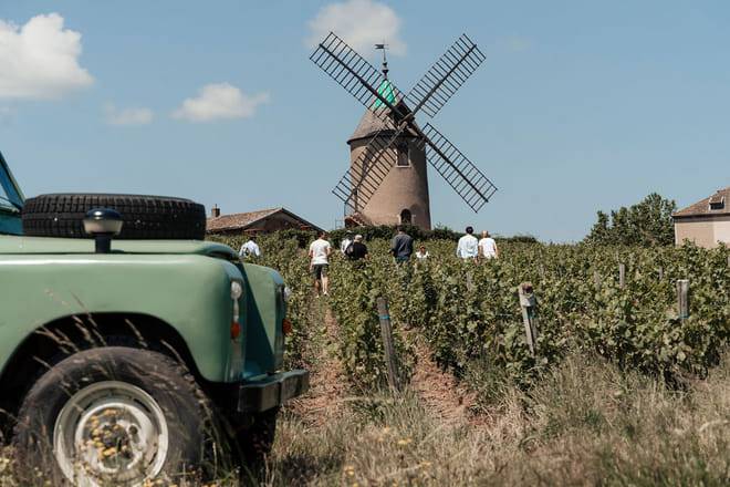 Private Half Day Southern Burgundy Wine Tour from Lyon or Mâcon