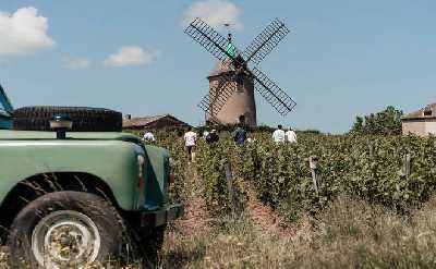 Private Half Day Southern Burgundy Wine Tour from Lyon or Mâcon