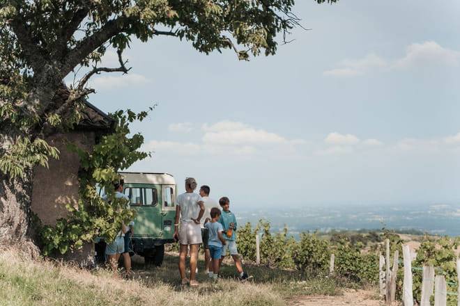 Private Half Day Southern Burgundy Wine Tour from Lyon or Mâcon