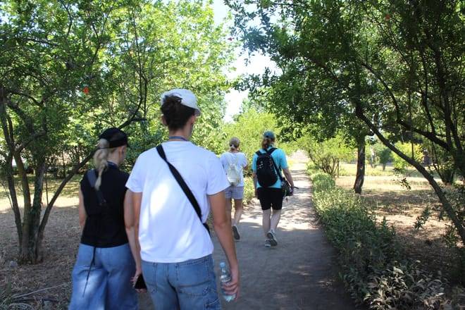 From Naples: Pompeii and Vesuvius Tour