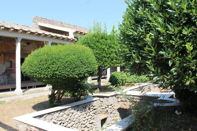 From Naples: Pompeii and Vesuvius Tour