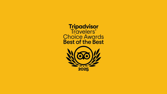 Naples Street Food Tour With Meal in 6 Stops