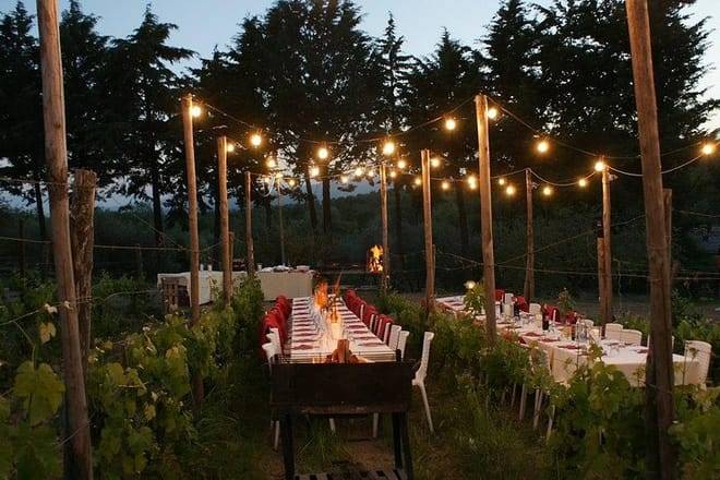 Dinner in the Vineyards from Florence