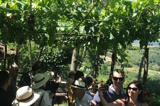 Dinner in the Vineyards from Florence