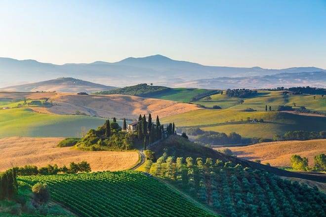 Half-Day Brunello di Montalcino Wine Tour from Siena