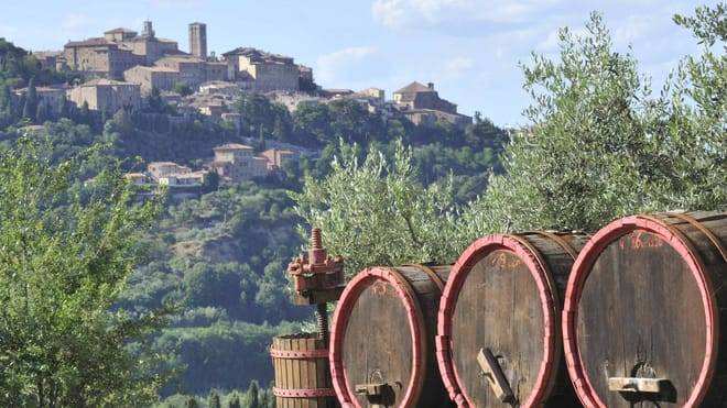 Half-Day Brunello di Montalcino Wine Tour from Siena