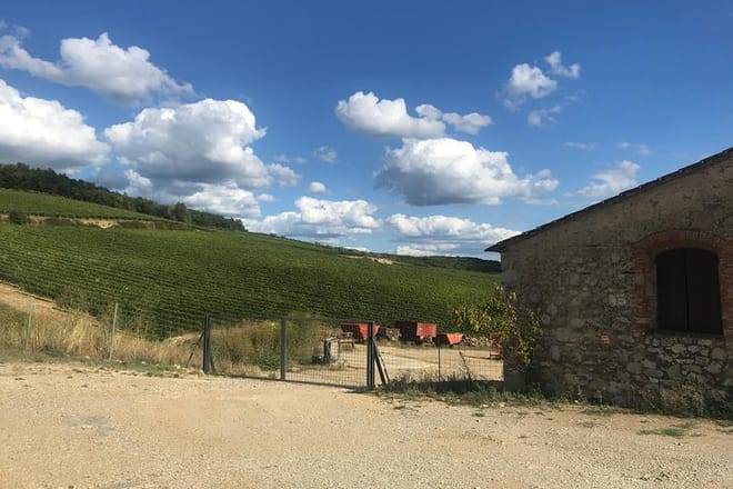 Siena: Small group Cooking Class in Chianti Farmhouse