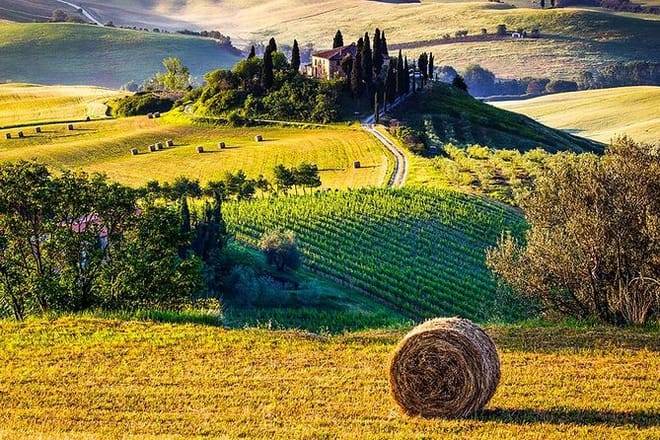 Tuscany Wine & Hills from Florence