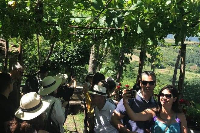 Tuscany Wine & Hills from Siena