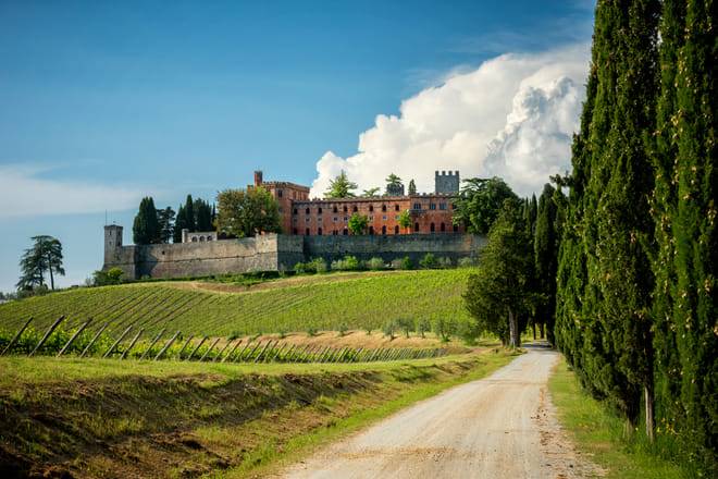 Cooking Class & Wine Tasting in a Chianti Farm