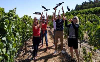 Douro Valley Small Group Tour with Wine Tastings, Lunch and River Cruise 