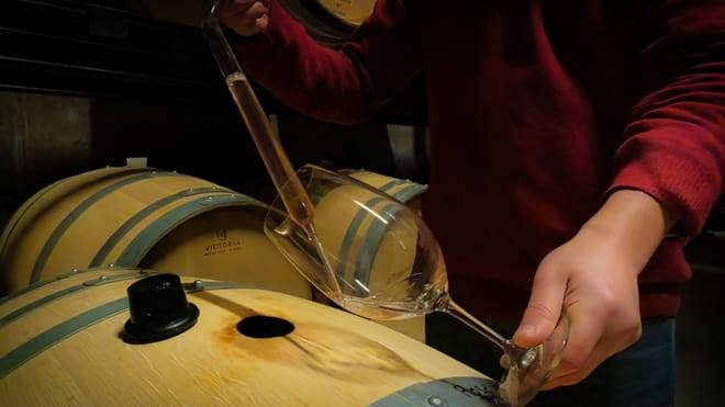 Douro Valley Small Group Tour with Wine Tastings, Lunch and River Cruise 