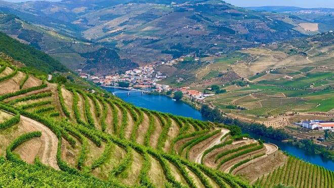 Douro Valley Small Group Tour with Wine Tastings, Lunch and River Cruise 