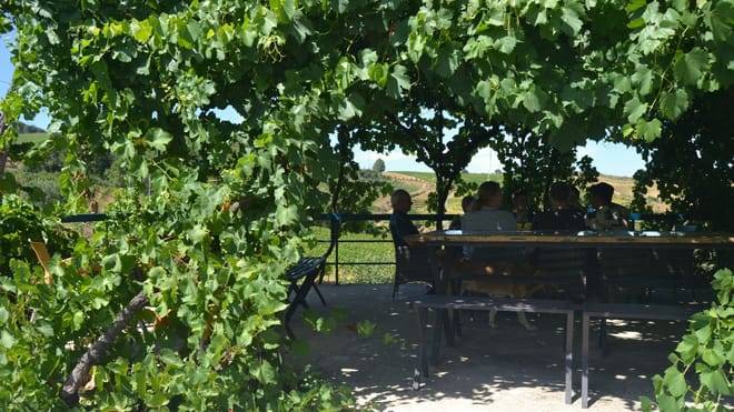 Three-Winery Douro Valley Experience for Wine Lovers