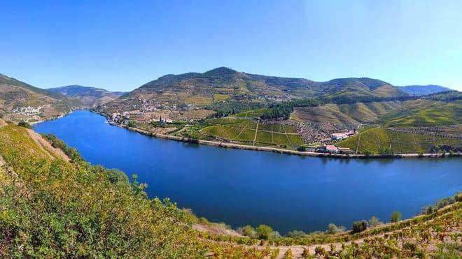 Three-Winery Douro Valley Experience for Wine Lovers