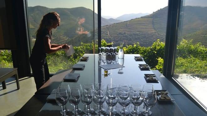 Three-Winery Douro Valley Experience for Wine Lovers
