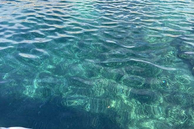 Fullday Aix en provence, Cassis and Marseille