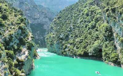 Lavender Private Day Trip