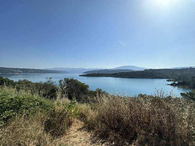 Lavender Private Day Trip