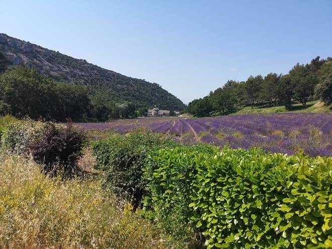 Marseille Shore Excursion: Private Day Trip to Luberon Villages