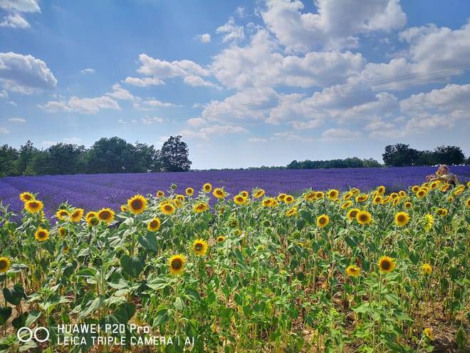 Marseille Shore Excursion: Private Day Trip to Manosque, Valensole, Moustiers Ste Marie and Lake Ste Croix