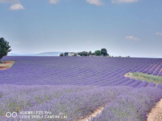 Marseille Shore Excursion: Private Day Trip to Manosque, Valensole, Moustiers Ste Marie and Lake Ste Croix