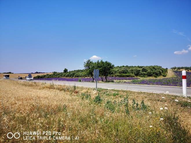 Marseille Shore Excursion: Private Day Trip to Manosque, Valensole, Moustiers Ste Marie and Lake Ste Croix