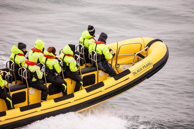 Whale  Watching from Downtown Reykjavik by RIB Speedboat 