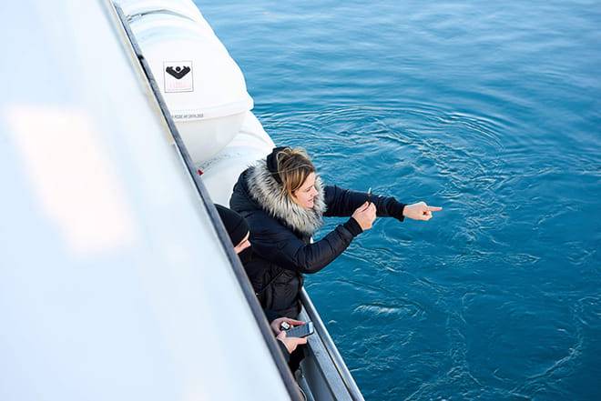 Whale & Marine Adventure Tour