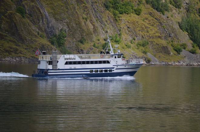 Whale & Marine Adventure Tour