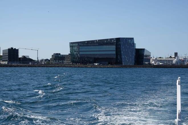 Whale watching - Downtown Reykjavík