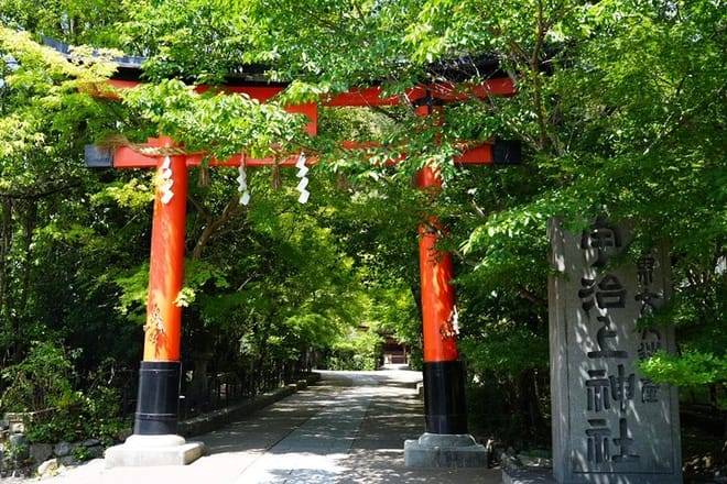 Kyoto Early Bird Tour in Uji and Fushimi Inari 