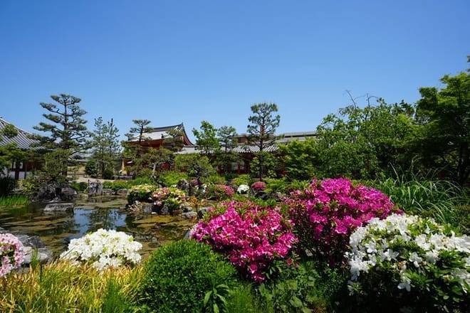 Kyoto Early Morning E Biking Tour Fushimi Inari Kiyomizu Temple