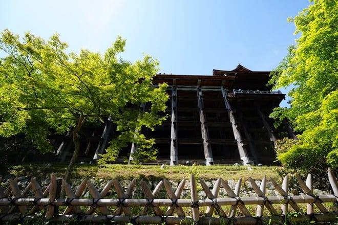 Kyoto Early Morning E Biking Tour Fushimi Inari Kiyomizu Temple