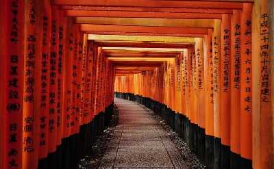 Kyoto Early Morning Tour with English-Speaking Guide