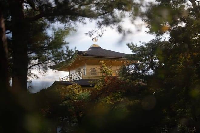 Kyoto Early Morning Tour with English-Speaking Guide