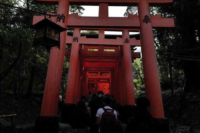 Kyoto Early Morning Tour with English-Speaking Guide