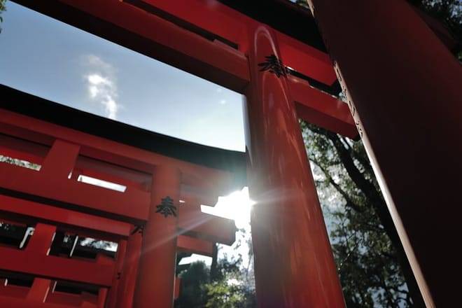 Kyoto Early Morning Tour with English-Speaking Guide