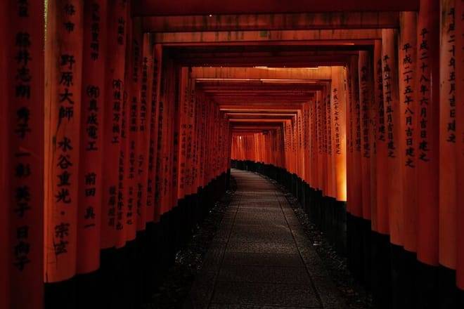 Kyoto Fushimi Inari Night Walking Tour