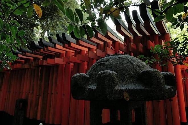 Kyoto Fushimi Inari Night Walking Tour