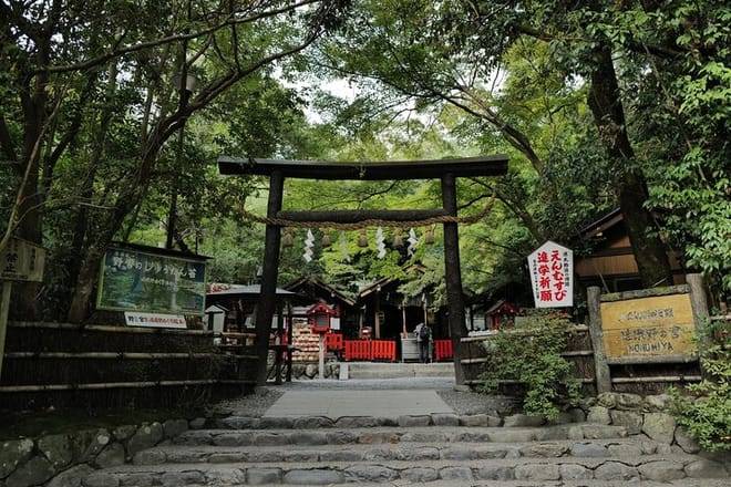 Kyoto Early Bird Tour Tokyo Round or One Way Shinkansen 