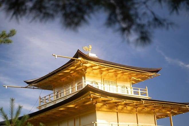 Kyoto Early Bird Tour Tokyo Round or One Way Shinkansen 