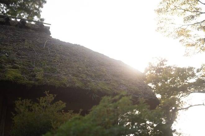 Kyoto Early Bird Tour Tokyo Round or One Way Shinkansen 