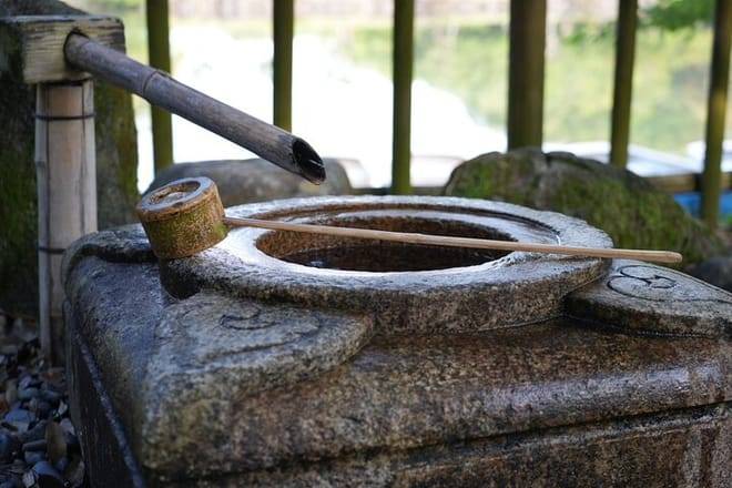 Nara Early Morning Tour (Kyoto or Osaka Departure Available)